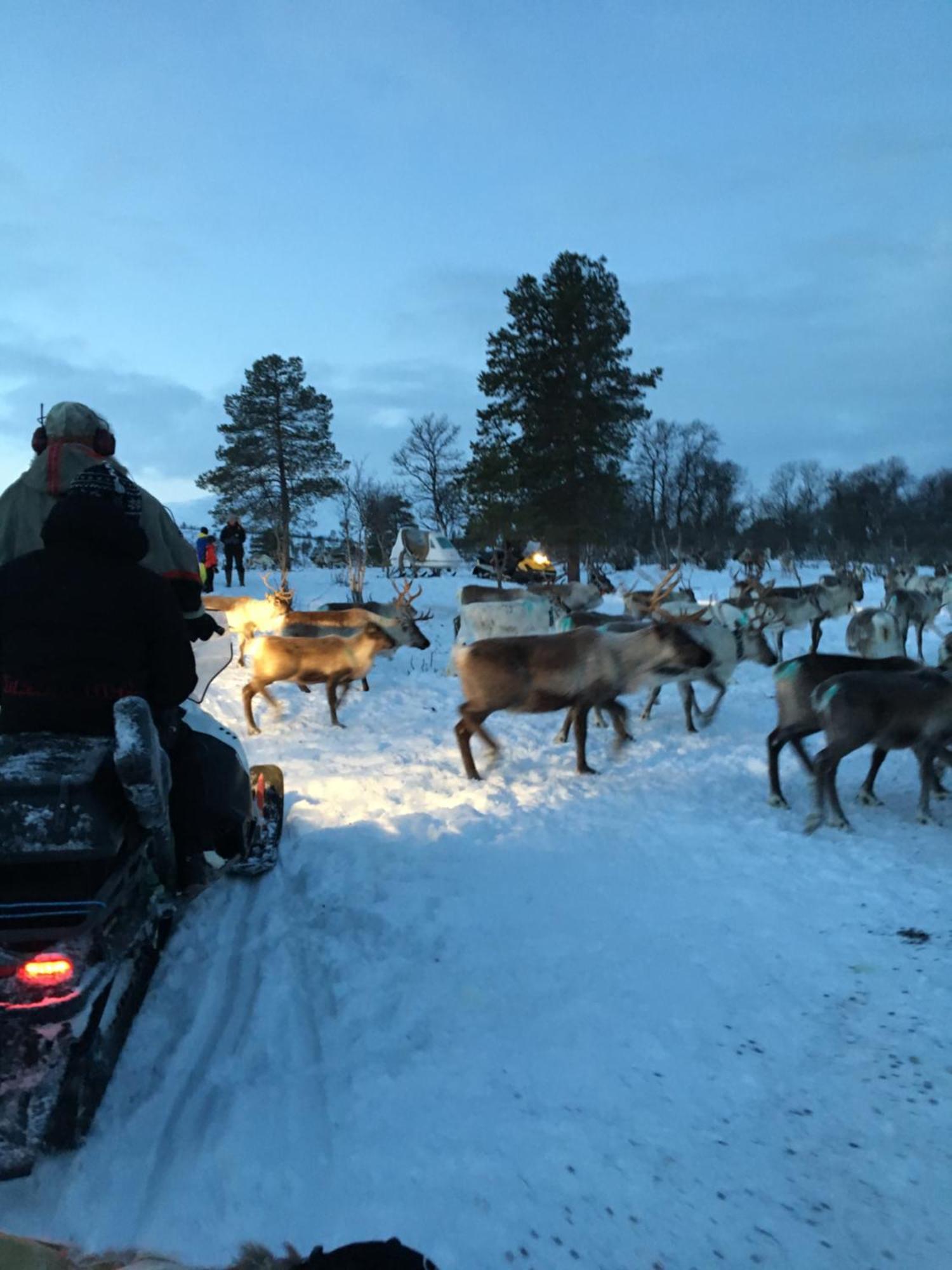 Bardufoss Hotell ภายนอก รูปภาพ